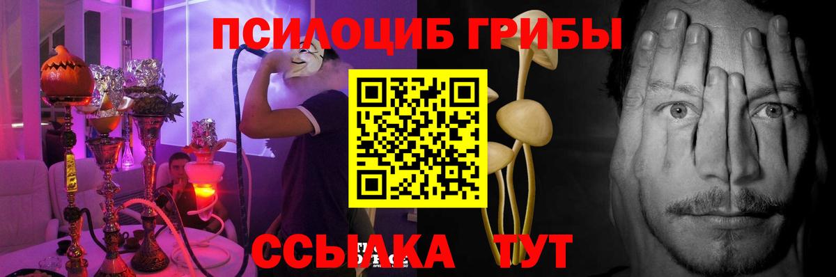 Псилоцибиновые грибы Magic Shrooms  где найти наркотики  Вход с VPN  Королёв  Псилоцибиновые грибы мицелий 